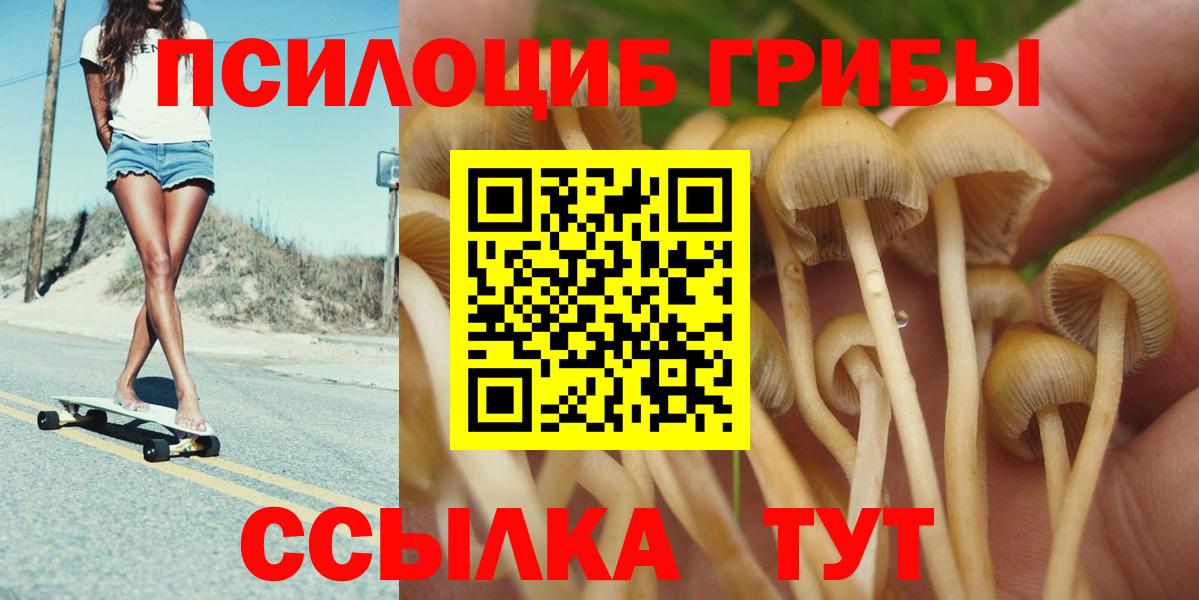 Псилоцибиновые грибы Psilocybine cubensis Орёл