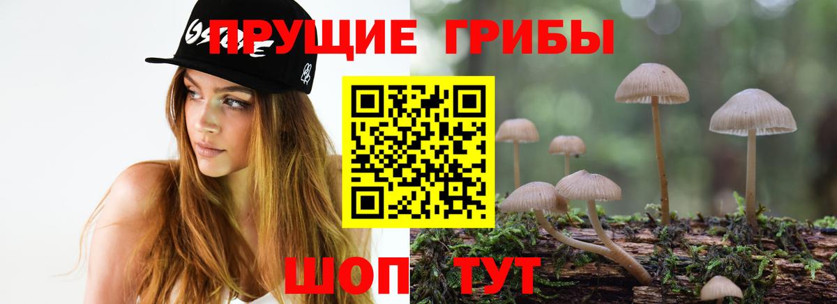 Орёл  Галлюциногенные грибы MAGIC MUSHROOMS  Псилоцибиновые грибы GOLDEN TEACHER  цена наркотик  Вход с VPN 